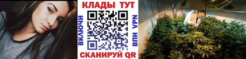Где продают наркотики Михайловка Гашиш Галлюциногенные грибы Вейп ТГК Меф