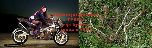 молекула духа Лихославль