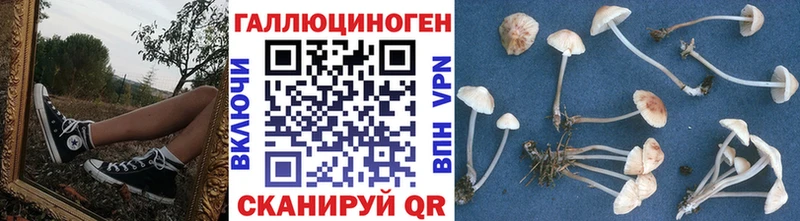 Псилоцибиновые грибы ЛСД  Михайловка 