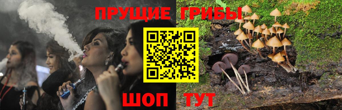 Псилоцибиновые грибы мицелий  дарнет шоп  Михайловка  Галлюциногенные грибы MAGIC MUSHROOMS 