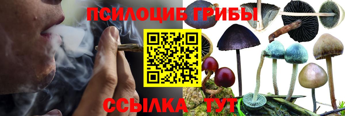 ГАШИШ Михайловка