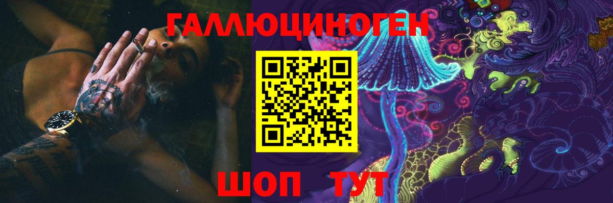 Михайловка  Псилоцибиновые грибы Psilocybe  Вход с VPN 